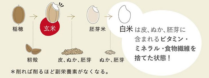 YUWAERU�ɂ���